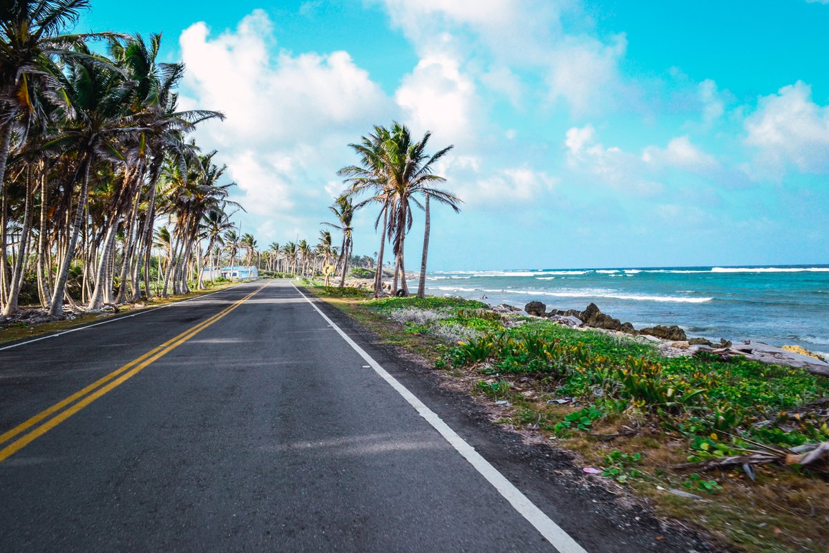 Coastal road in a Florida-compatible landscape